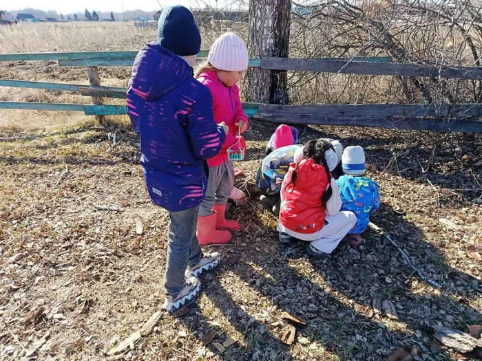 Познавательная игра «В мире птиц»