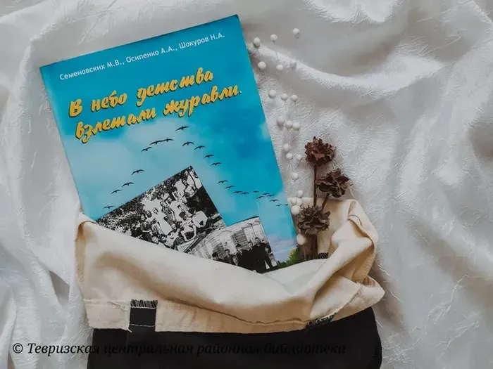 Семеновских М.В., Осипенко А.А., Шокуров Н.А. "В небо детства взлетали журавли"