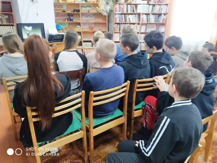 Видео-презентация «Радуга сказок Салтыкова-Щедрина»