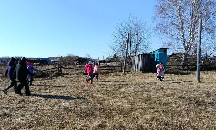 Познавательная игра «В мире птиц»