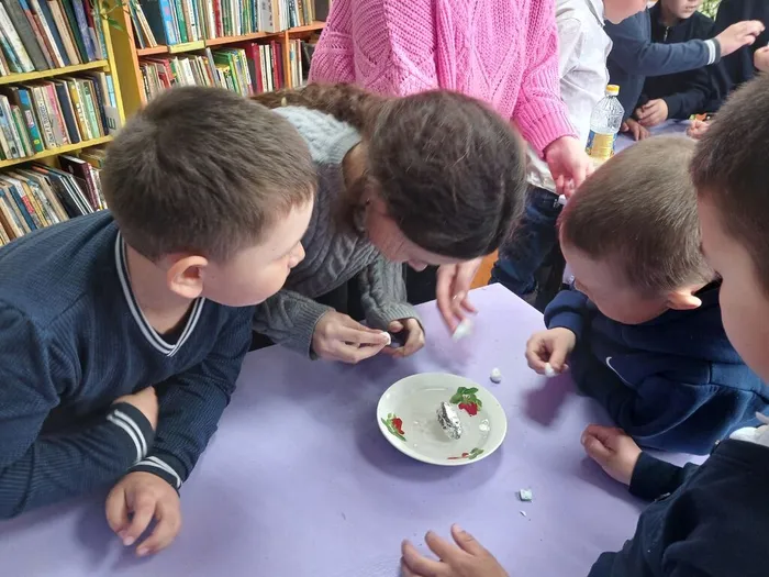 Эко-микс «Зелёное чудо Земли»