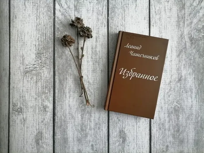 Чашечников Л.Н. Избранное